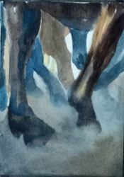 watercolor horse