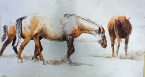 watercolor horse