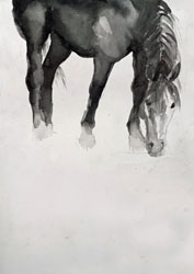watercolor horse